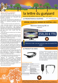 La lettre du guépard N°14