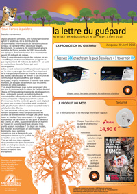 La lettre du guépard N°19