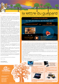 La lettre du guépard N°6